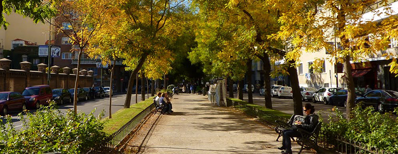 Imagen Calle Juan Bravo Barrio Salamanca